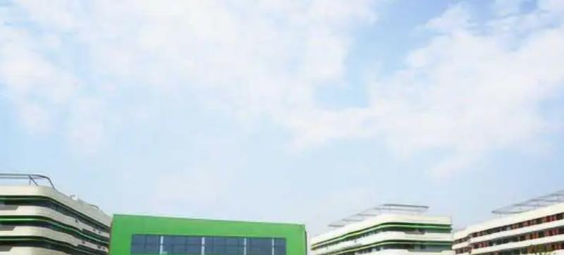 2023年上海帕丁顿双语学校小学部学费标准