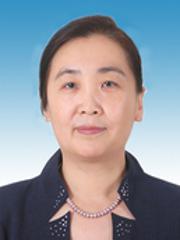 赵宏 教授