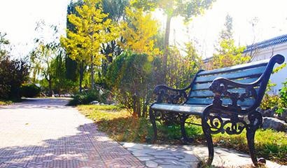 北京市海淀国际学校