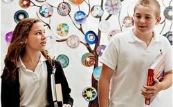 格林杨诺克学校