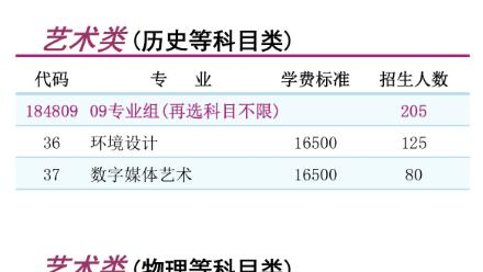 南京理工大学泰州科技学院艺术类专业有哪些？