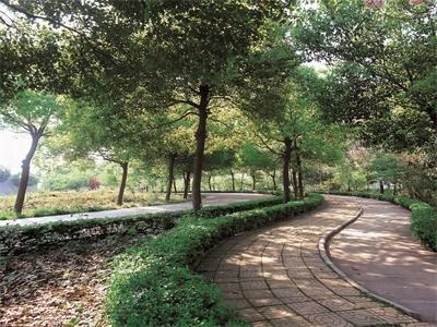 苏州国际外语学校