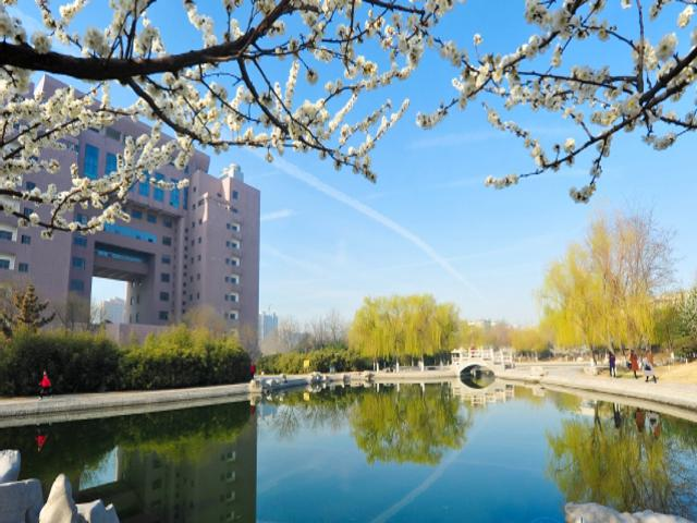 校园风采（六）