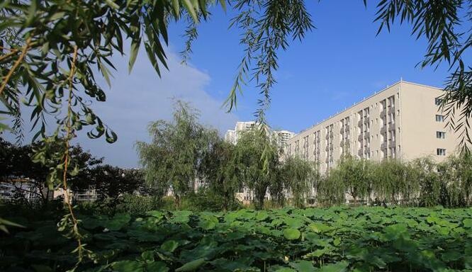 重庆安全技术职业学院2020年招生代码