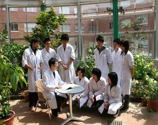 千叶科学大学