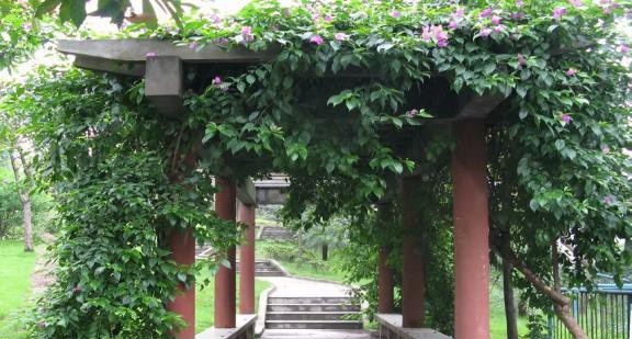 重庆市垫江县职业教育中心