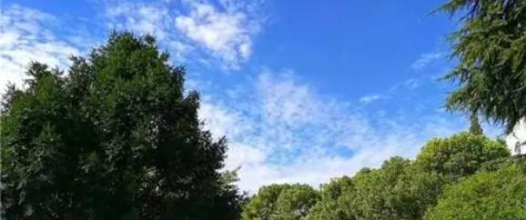 上海洋泾中学国际部怎么样2