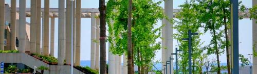 陕西铁路工程职业技术学院怎么样、好不好