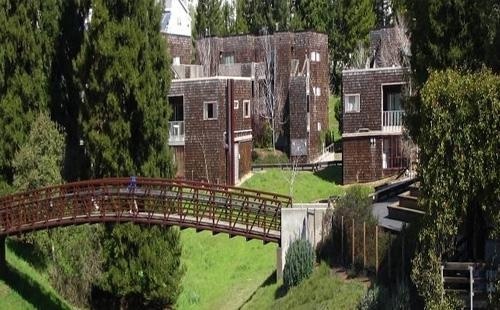 加州大学圣克鲁兹分校