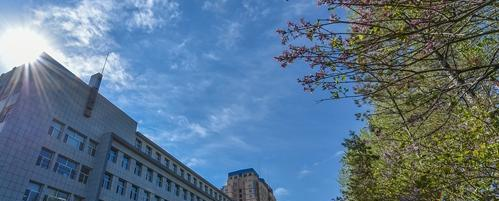 长春金融高等专科学校单招