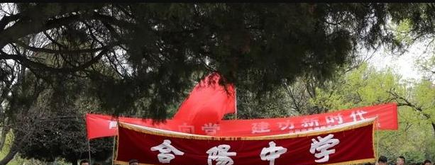  合阳中学网站
