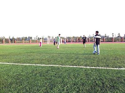 天津黑利伯瑞国际学校操场