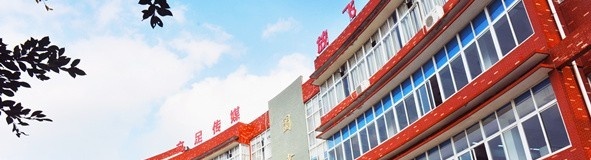 四川文化传媒职业学院五年制大专学校地址