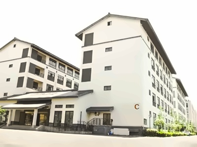 绿城常春藤国际教育A-Level全系课程