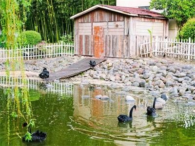 上海天华英澳美国际学校（上海BANZ）