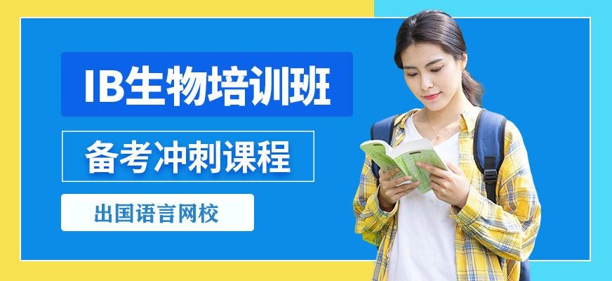 ib在线培训辅导