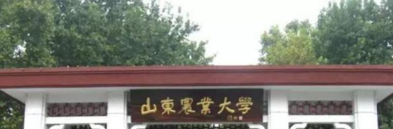 山东农业大学是几本？是985和211吗？