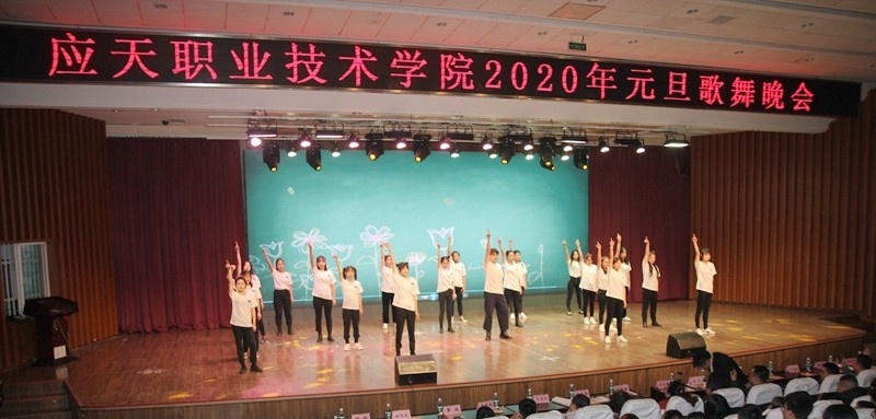 应天职业技术学院2020年招生办