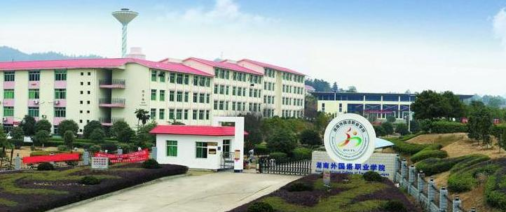 截图20200408135528