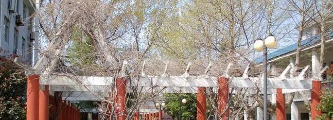 溧水第三高級中學(xué)