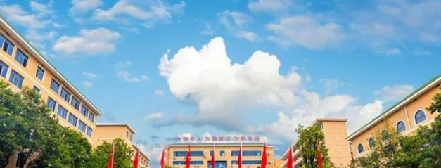 2023湖南幼儿师范高等专科学校单独招生报名条件、招生要求、招生对象