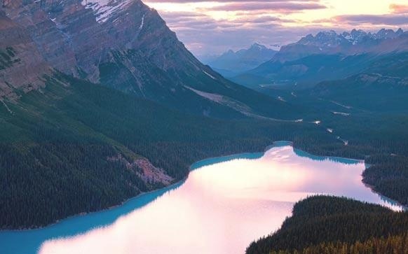 葡语关于法律词汇