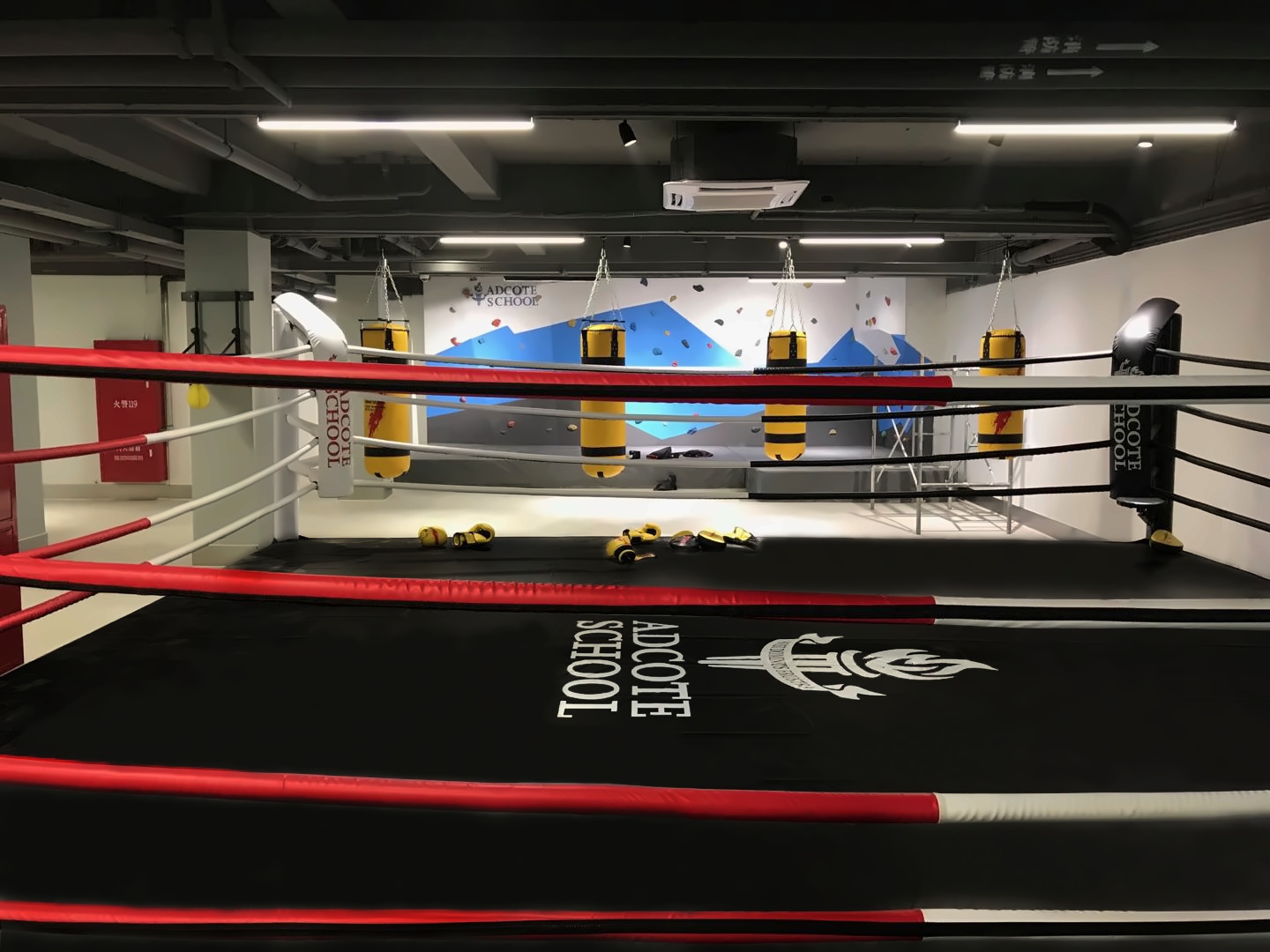 上海市松江区科德高级中学拳击台