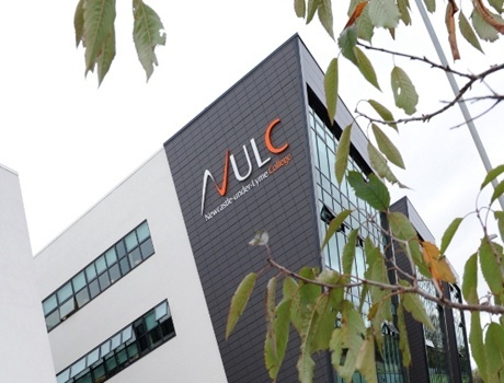 纽卡斯尔莱姆学院