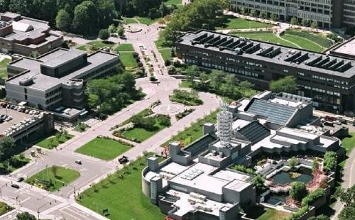 纽约州立大学石溪分校