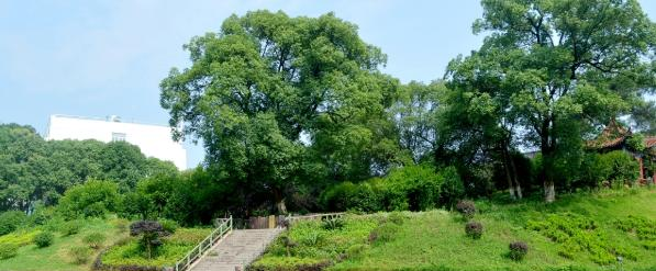 江西生物科技职业学院2020年招生代码