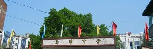 截图_20211116125530