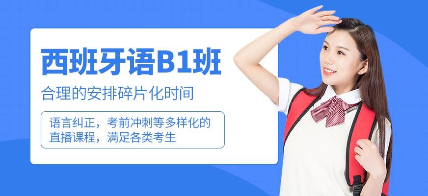 成都西班牙语b1班