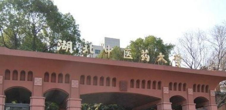 湖北中医药大学