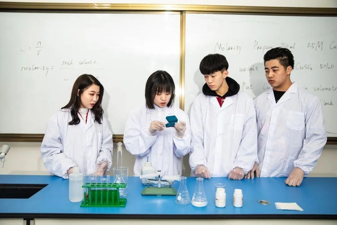 力迈中美国际学校