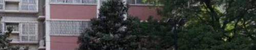 河南幼儿师范学校