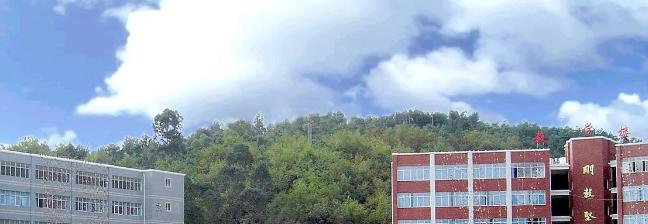 截图_20211116125615