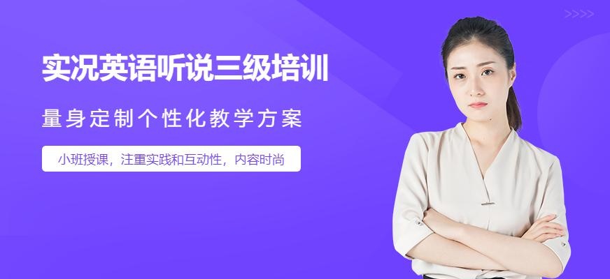 新世界实况英语听说三级培训