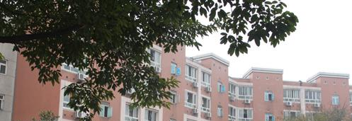 成都树德联合学校