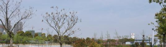 安徽体育运动职业技术学院地址在哪里