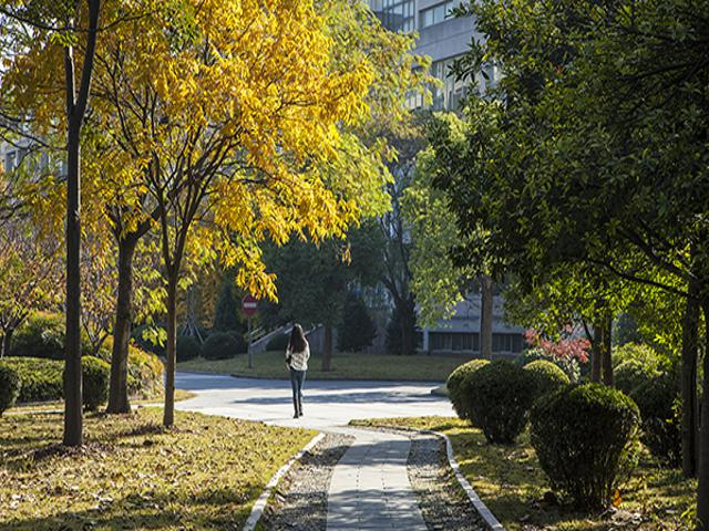 校园风景（六）