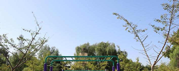石家庄康福外国语学校小学部网站