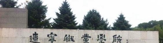 辽宁职业学院单招2019年单独招生成绩查询、入口