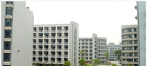 浙江经贸职业技术学院单招报名条件