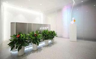 南京AF国际艺术教育