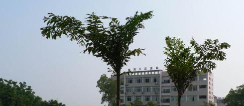 自貢第十四中學(xué)