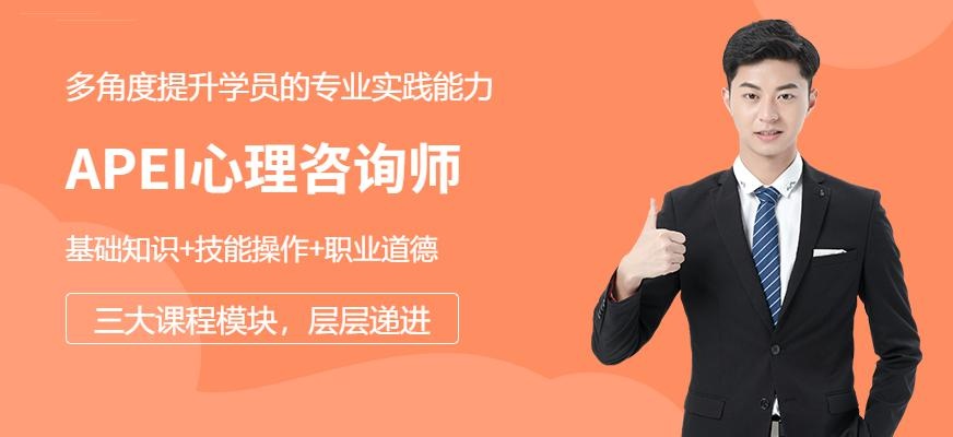 成都APEI心理师培训