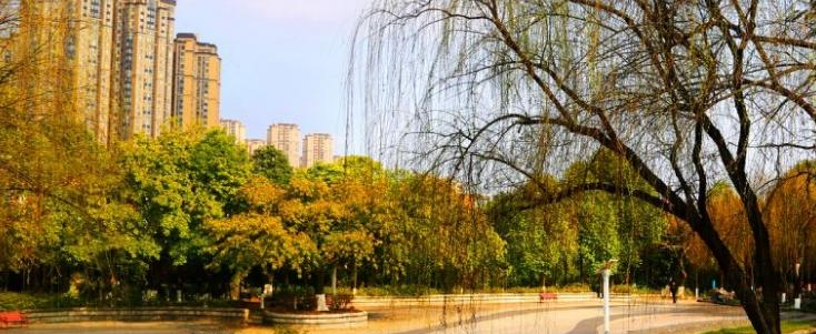 绵阳东辰国际学校高中部