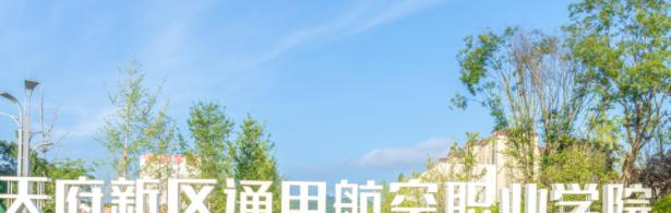 2023年天府新区通用航空职业学院单独招生录取分数线