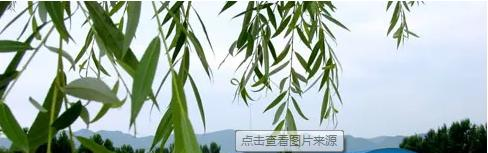 北京科迪实验中学初中部2023年入学考试