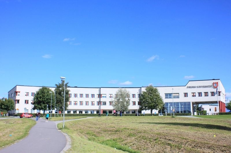 厄勒布鲁大学